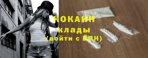 индика Абаза