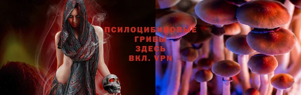 2c-b Алзамай