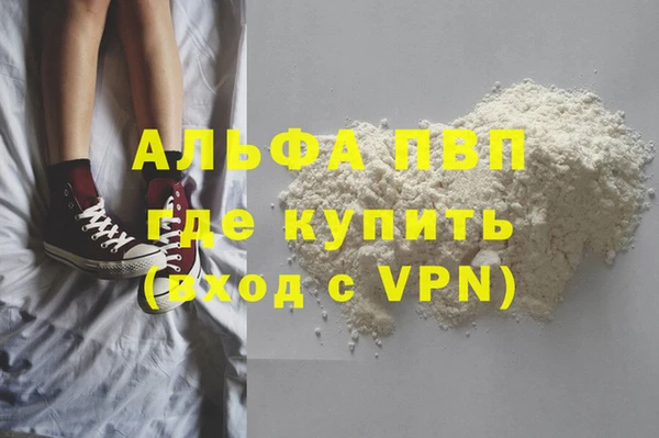 индика Абаза
