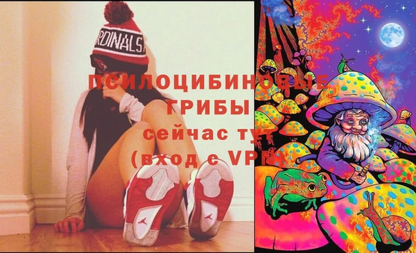 2c-b Алзамай