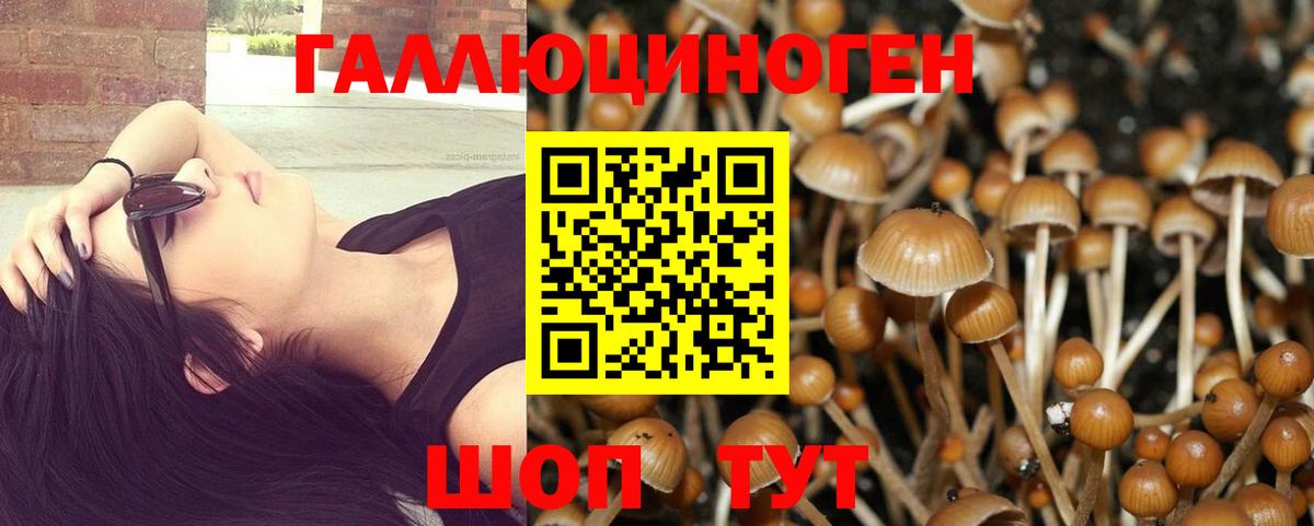 Магадан  Псилоцибиновые грибы MAGIC MUSHROOMS  Вход с VPN 